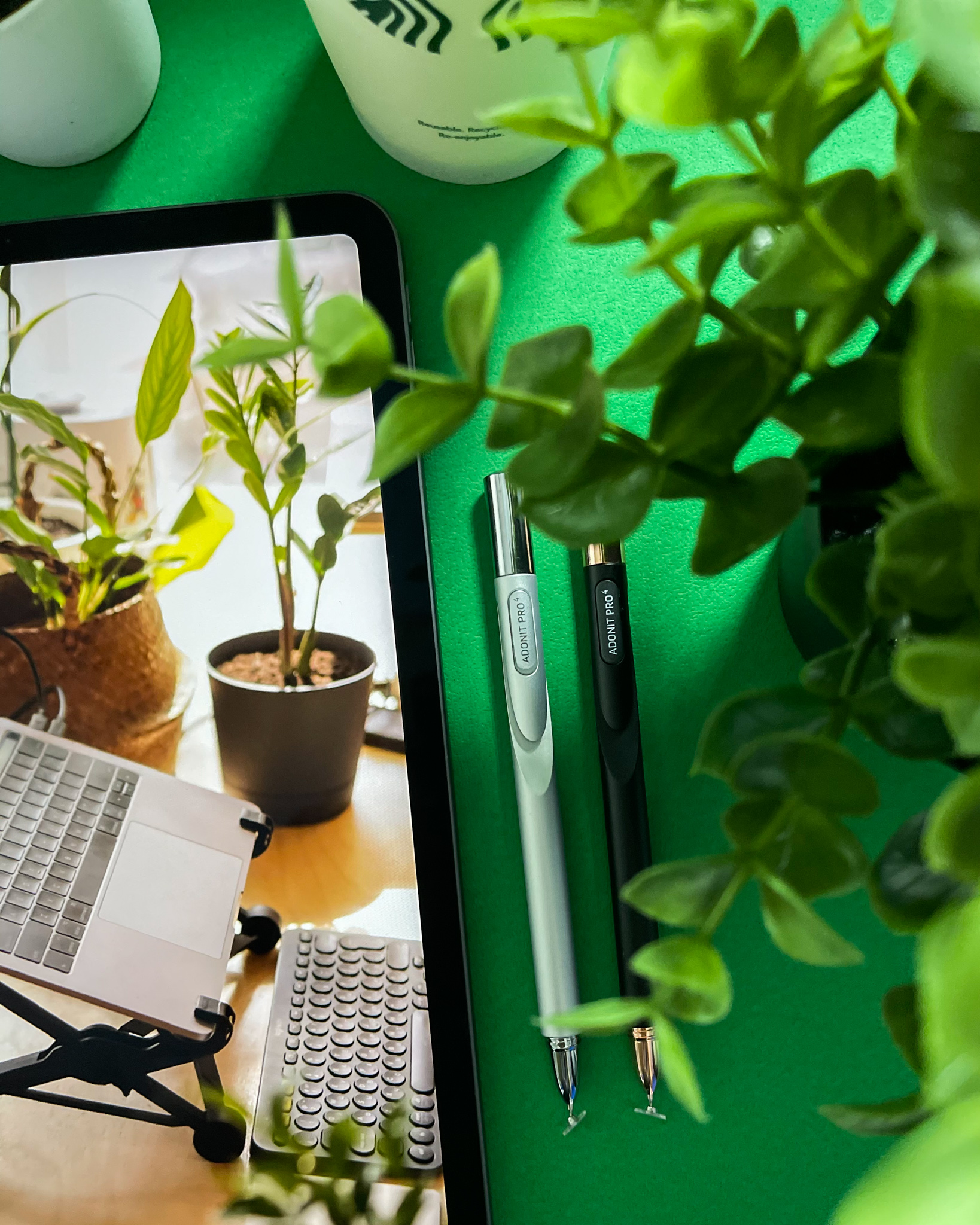 Adonit Pro pens beside a plant on a green desk
