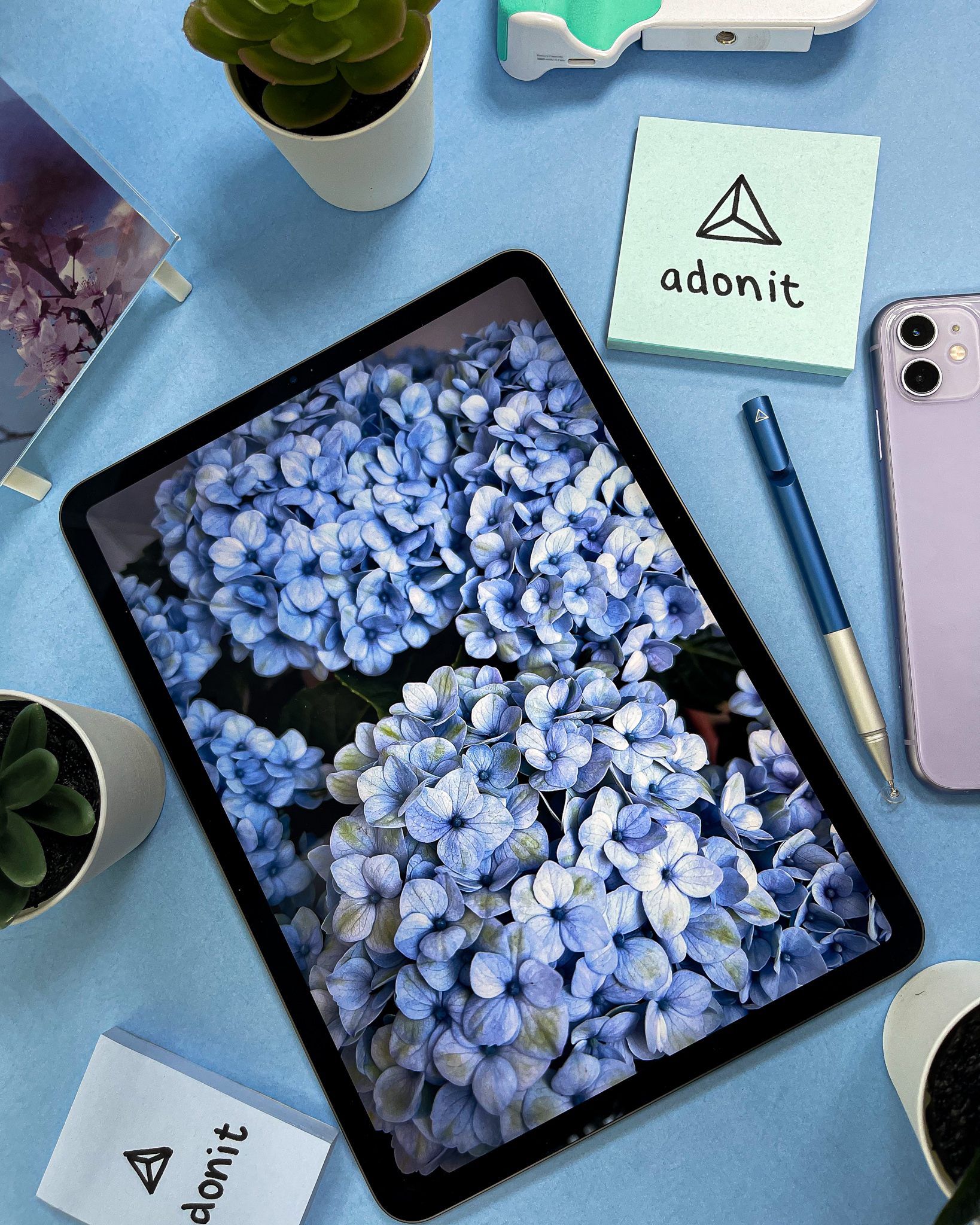 Hydrangeas on iPad with a pastel phone, blue flat-lay